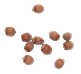 Hazelnuts isolated on a white background.