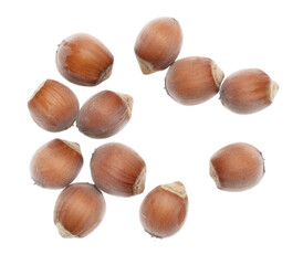 Hazelnuts isolated on a white background.