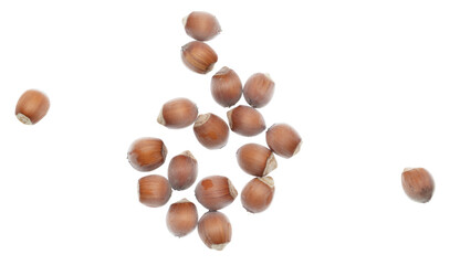 Hazelnuts isolated on a white background.