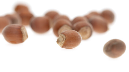 Hazelnuts isolated on a white background.