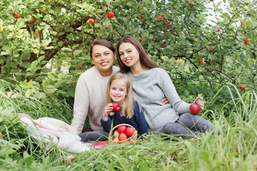 three generations of women of  same family in  apple orchard at  picnic