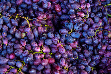 The background of fresh ripe black grape, wine and harvest concept