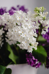 A white ceramic jug full of purple, white and violet lilacs with green leaves on a white background, soft focus, close up