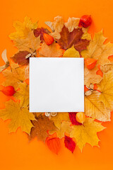 Naklejka na ściany i meble Autumn postcard mockup with fall leaves