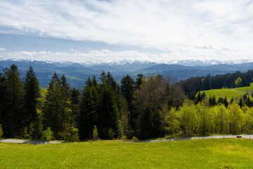 Fototapeta na wymiar Hiking and walking routes on Pfander mountain, in the Voralberg region of Austria