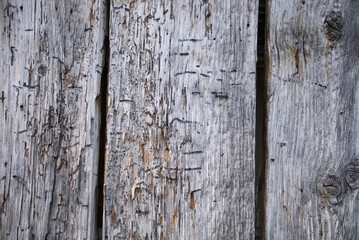 barn wood vertical gray planks rough texture