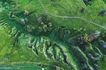 Green fields from above