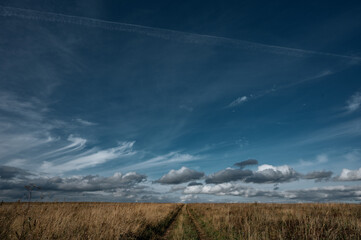 Road to horizon in field with blue sky and clouds on background