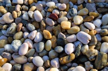 colorful bright pebbles on the beach in bright sunlight