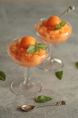 granité de melon