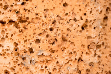 Washing sponge texture. Top view. Sponge close up