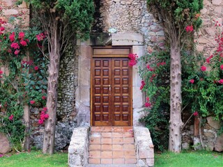 door and flowers of ancient Mexican manor 