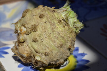 celery root