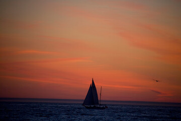 Fototapeta na wymiar Sailboat in the sea, Santa Monica, Los Angeles County, California, USA