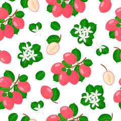 Vector cartoon seamless pattern with Carissa carandas or Carunda exotic fruits, flowers and leafs on white background