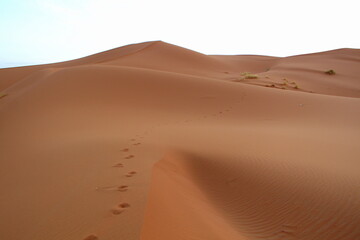 Fototapeta na wymiar Dunes of Merzouga desert, Morocco
