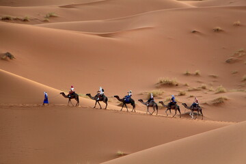 Caravans in Sahara desert, Morocco