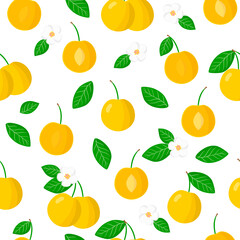 Vector cartoon seamless pattern with Prunus cerasifera or cherry plum exotic fruits flowers and leaf on white background