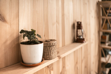 White pot with ivy plant and wicker box on wooden shelf. Retro lantern on blurred background. Wooden wallpaper panels. High quality photo.