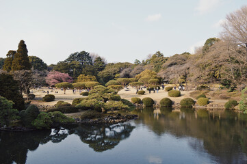 Shinjuku park