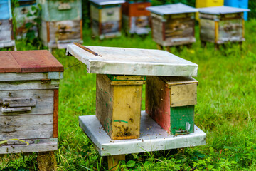 Close-up image of wooden Beehives in village garden.
