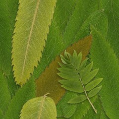 Seamless square pattern with isolated green grass