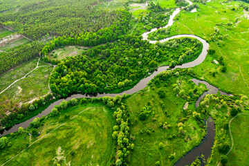 River in the meadows