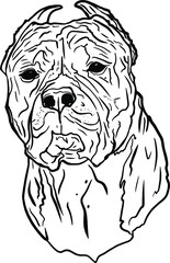 Vector illustration of a staffordshire terrier isolated on a white background. Portrait of a dog pitbull for printing on packaging, menu, clothes, logo, blank for designers, element