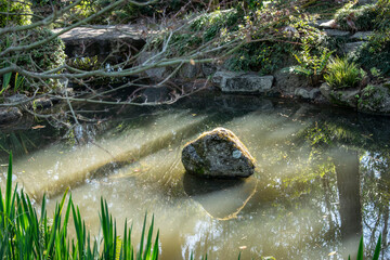 Fototapeta premium water, river, stream, nature, waterfall, forest, green, stone, rock, landscape, moss, creek, flow, spring, brook, mountain, rocks, tree, flowing, stones, cascade, fall, environment, autumn, wet