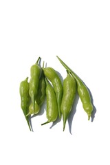 Radish Pod or Fruit Isolated on White Background in Vertical Orientation