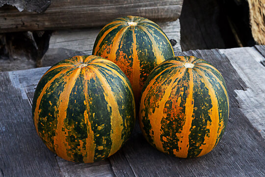 pumpkin on wooden surface, autumn harvest