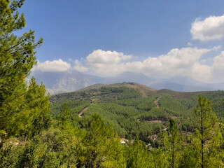Mountain landscape with green forests, valley, blue sky and white clouds