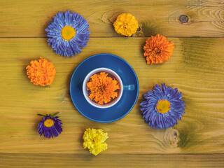 Beautiful flowers with a flower petal in the  cup  on wooden background.