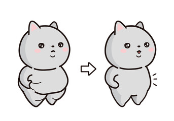 ダイエットに成功をした猫　ビフォアアフター