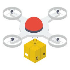 
Drone delivery, drone with package delivery services.

