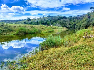 S&atilde;o Jos&eacute; da  Lapa
Minas Gerais - Brasil