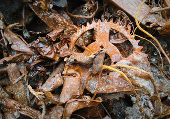 Pile of old rusty scrap metal ready for recycling. Sheet metal, wires and gear wheel closeup.