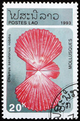 Postage stamp Laos 1993 small scallop