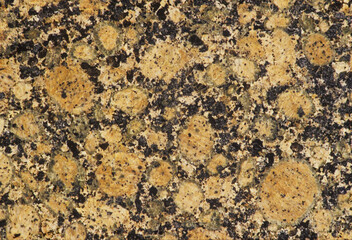 Close-up of a stone wall 
