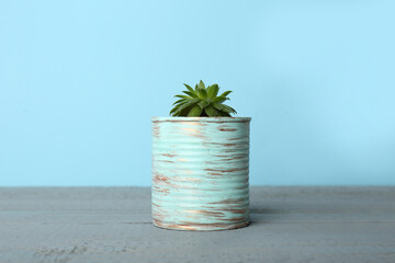Beautiful echeveria plant in tin can on grey wooden table
