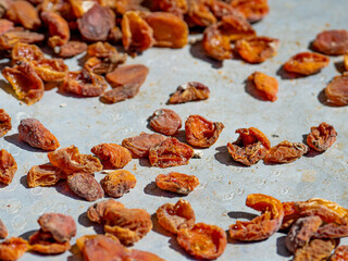 close-up drying apricots in the sun