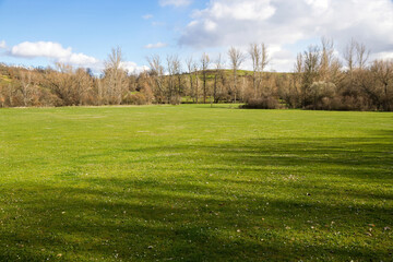 Sunny green meadow, in spring, with winter trees and shrubs and sky with clouds 