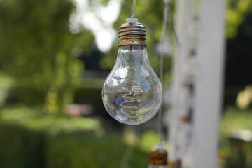 bulb idea in garden