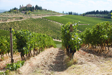 Fototapeta na wymiar Vineyards and farm in Chianti hills, Italy