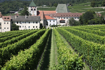 Fototapeta na wymiar Vineyards and Novacella abbey in South Tyrol, Italy