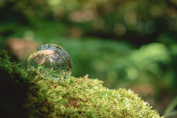 Environment concept, a crystal ball lies on a moss in the forest, reflection of the forest. concept and theme of nature, environmental protection. relaxation. glass material.
