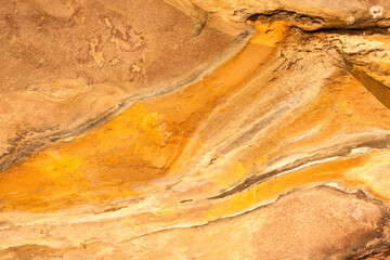 Interesting colors, patterns & texture on a rock.