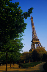 Trees in front of a tower, Eiffel Tower, Paris, France 