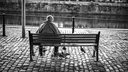 old men person sitting on bench feeding birds pigeons 
