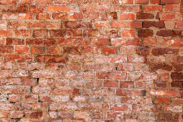 Old brick wall. The wall is red and there is mortar between the joints.